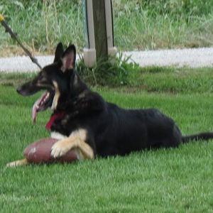 Meet your Posher, Twila